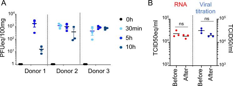 https://cdn.ncbi.nlm.nih.gov/pmc/blobs/be1f/11335275/064d5dc409ed/18_2024_5322_Fig2_HTML.jpg