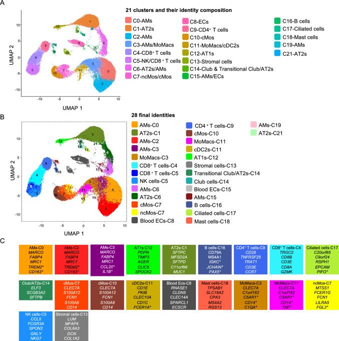 https://cdn.ncbi.nlm.nih.gov/pmc/blobs/be1f/11335275/370185b27091/18_2024_5322_Fig3_HTML.jpg