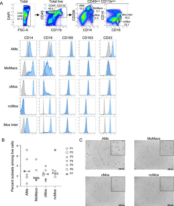 https://cdn.ncbi.nlm.nih.gov/pmc/blobs/be1f/11335275/f932628d643b/18_2024_5322_Fig5_HTML.jpg