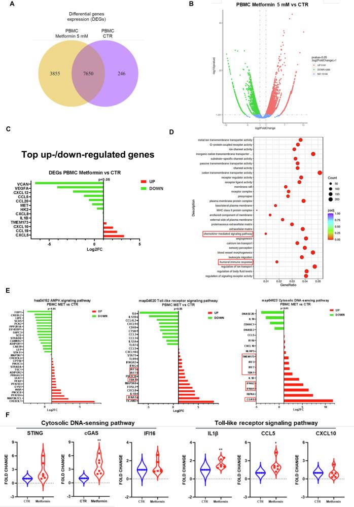 https://cdn.ncbi.nlm.nih.gov/pmc/blobs/be21/11993597/87d88047178c/41419_2025_7636_Fig3_HTML.jpg