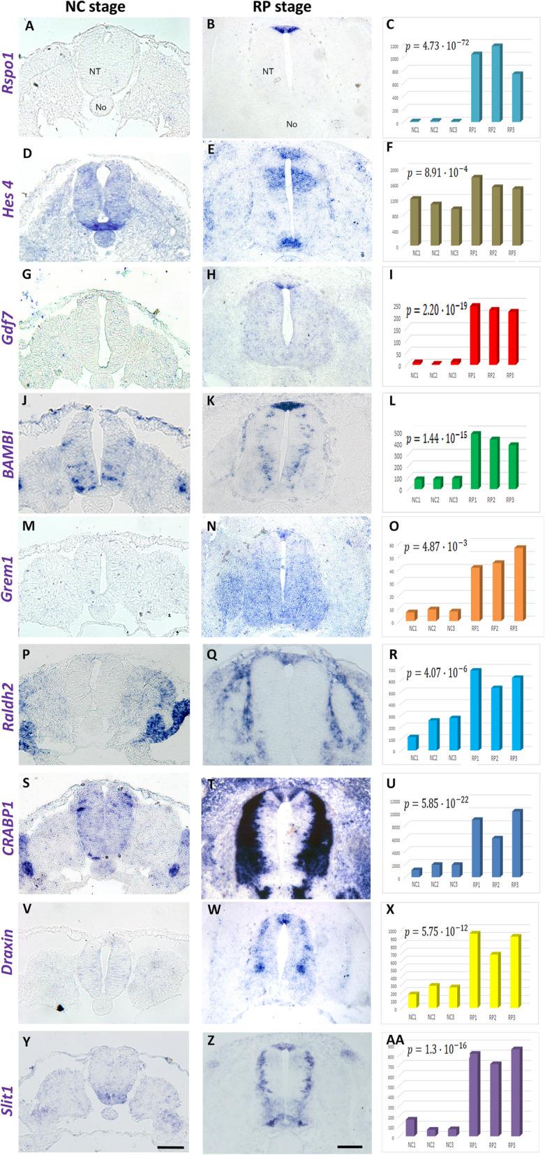 https://cdn.ncbi.nlm.nih.gov/pmc/blobs/be21/8063321/7e7817c5f8ca/12915_2021_1014_Fig2_HTML.jpg