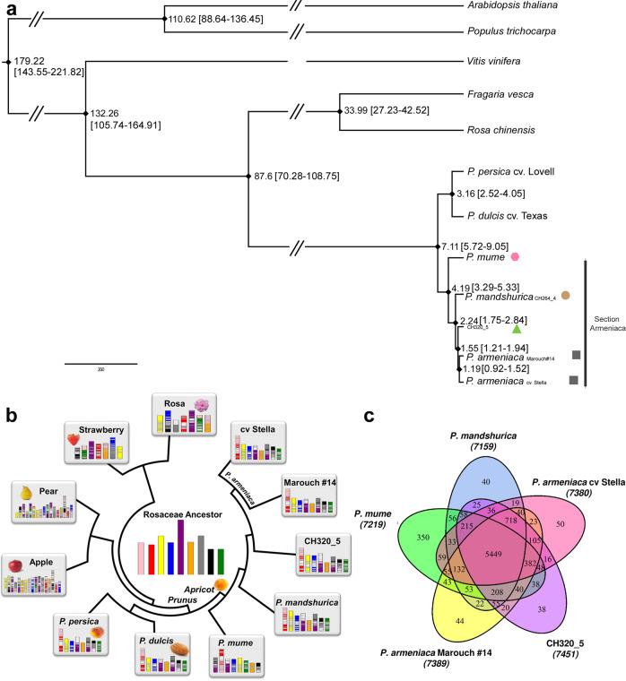 https://cdn.ncbi.nlm.nih.gov/pmc/blobs/be21/8233370/8c7268cea506/41467_2021_24283_Fig2_HTML.jpg