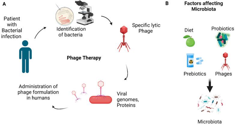 https://cdn.ncbi.nlm.nih.gov/pmc/blobs/be22/11768203/c647c296a280/pathogens-14-00002-g003.jpg