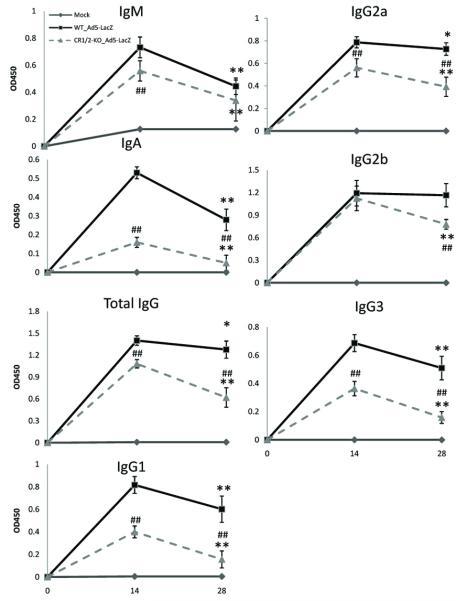 https://cdn.ncbi.nlm.nih.gov/pmc/blobs/be22/4039027/633eb1dafc16/nihms-113191-f0004.jpg