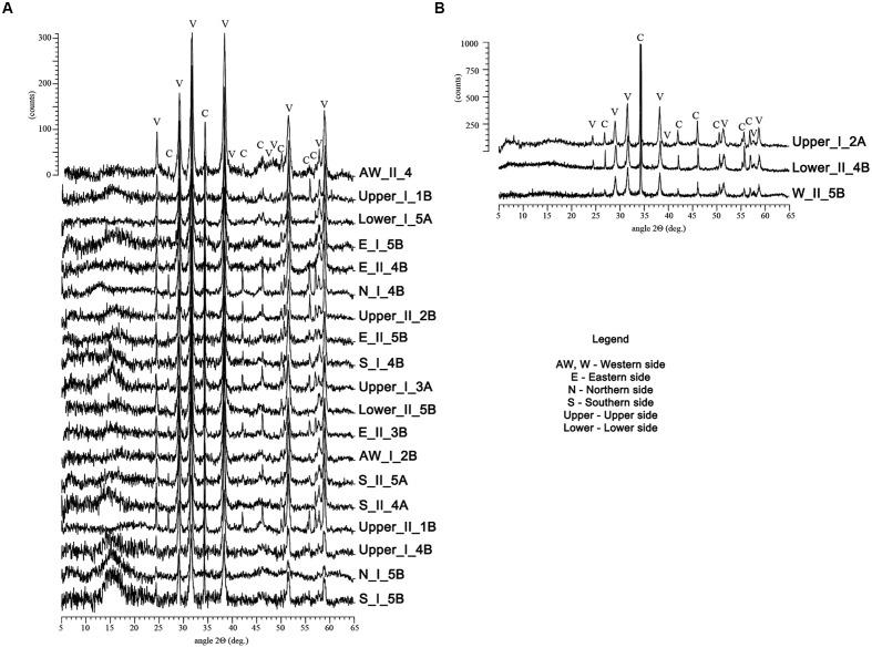 https://cdn.ncbi.nlm.nih.gov/pmc/blobs/be22/5339310/dbb855e90d7e/fmicb-08-00372-g004.jpg