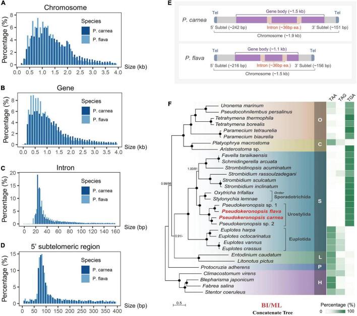https://cdn.ncbi.nlm.nih.gov/pmc/blobs/be23/8899921/acbebb761a01/fmicb-13-775646-g002.jpg
