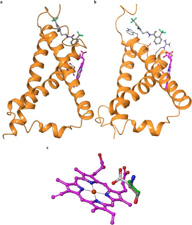 https://cdn.ncbi.nlm.nih.gov/pmc/blobs/be23/9279378/9dd935b76690/41598_2022_15782_Fig8_HTML.jpg
