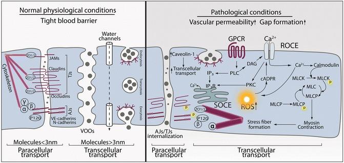 https://cdn.ncbi.nlm.nih.gov/pmc/blobs/be24/7120947/8c23ec593787/417120_1_En_8_Fig4_HTML.jpg
