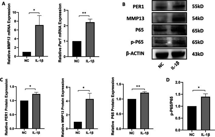 https://cdn.ncbi.nlm.nih.gov/pmc/blobs/be25/10619284/2276e20f8ced/13018_2023_4301_Fig2_HTML.jpg