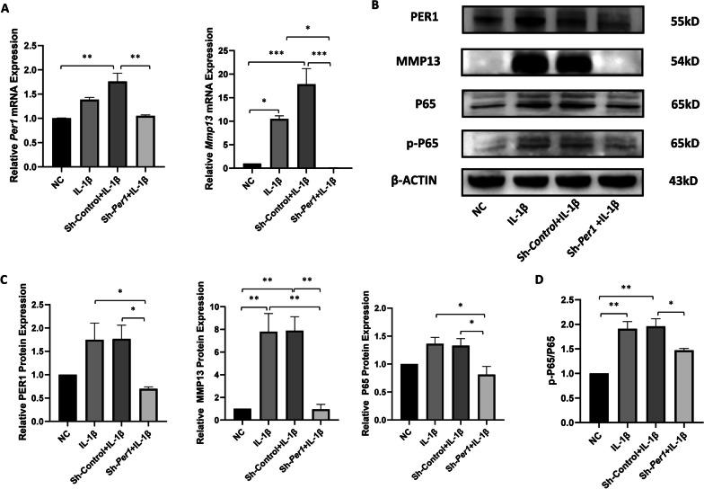 https://cdn.ncbi.nlm.nih.gov/pmc/blobs/be25/10619284/72e956386bd7/13018_2023_4301_Fig3_HTML.jpg