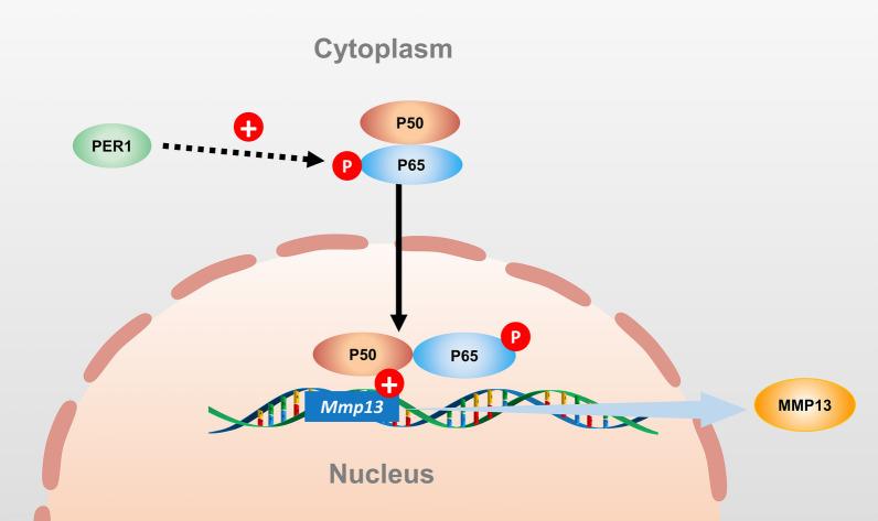 https://cdn.ncbi.nlm.nih.gov/pmc/blobs/be25/10619284/ede5420e845f/13018_2023_4301_Fig6_HTML.jpg