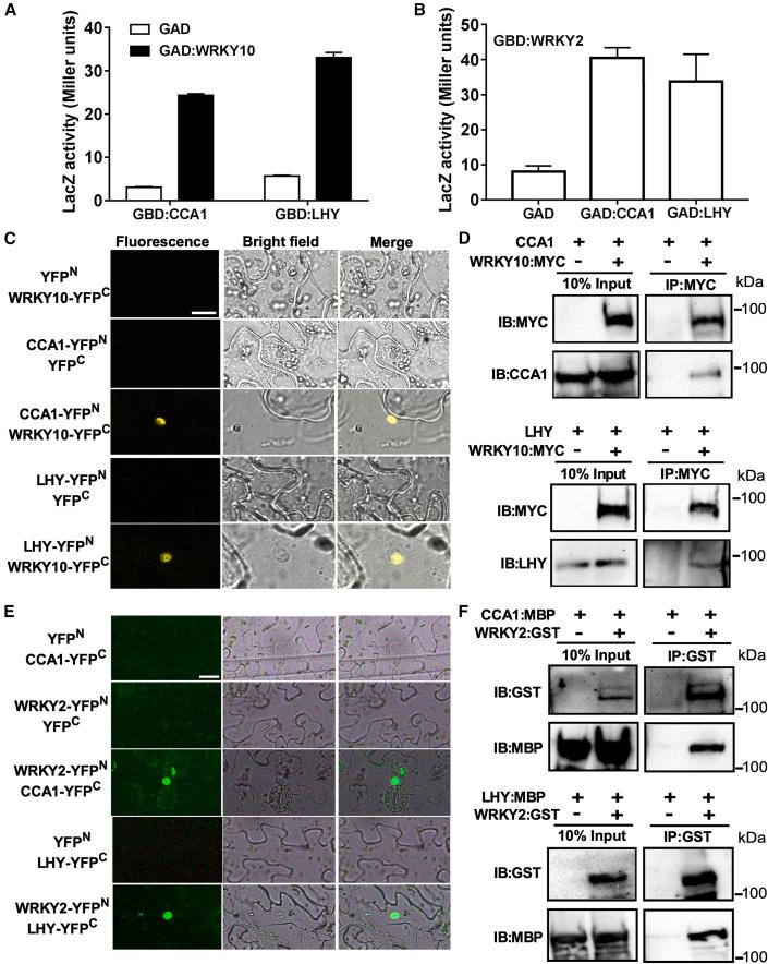 https://cdn.ncbi.nlm.nih.gov/pmc/blobs/be25/9073327/bed621994489/gr3.jpg