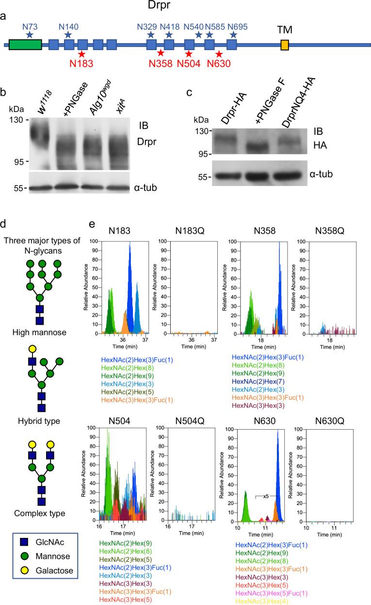 https://cdn.ncbi.nlm.nih.gov/pmc/blobs/be26/11349873/15a68feae422/41467_2024_51581_Fig2_HTML.jpg