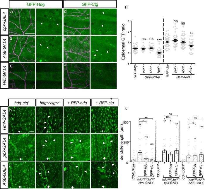 https://cdn.ncbi.nlm.nih.gov/pmc/blobs/be26/11349873/be580233d0d1/41467_2024_51581_Fig8_HTML.jpg