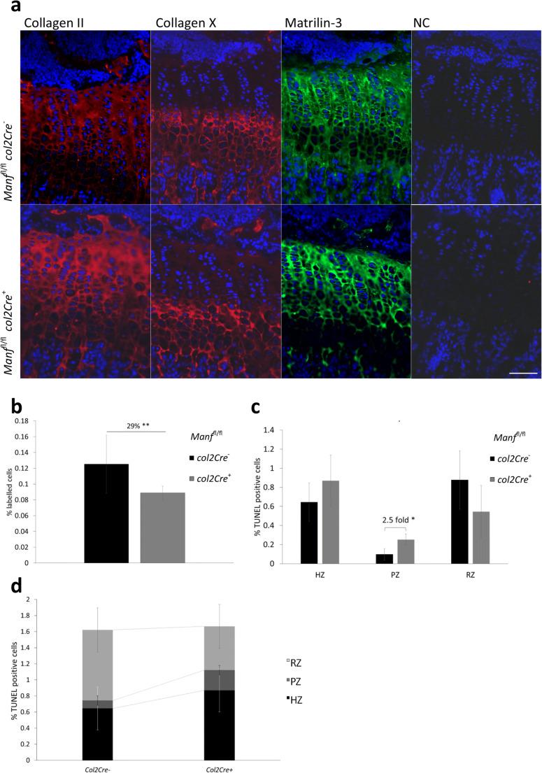 https://cdn.ncbi.nlm.nih.gov/pmc/blobs/be28/6363614/263424cf169b/12192_2018_953_Fig3_HTML.jpg