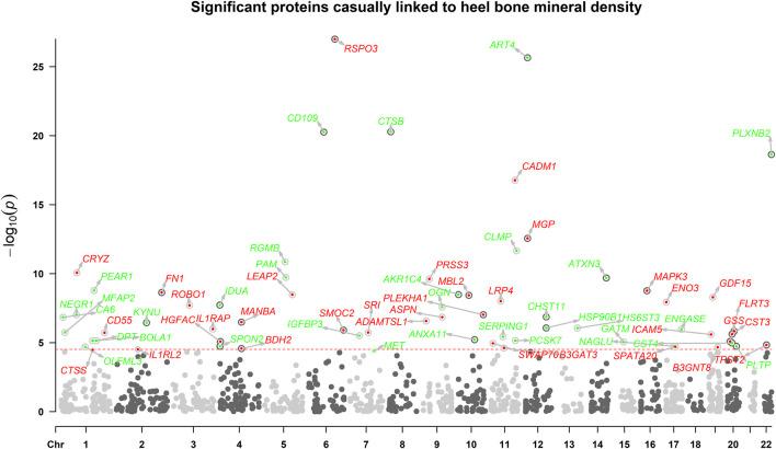 https://cdn.ncbi.nlm.nih.gov/pmc/blobs/be29/10336211/1685beb1abe4/fgene-14-1161817-g002.jpg