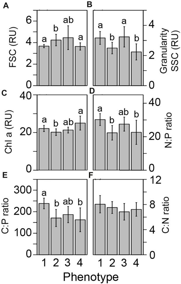 https://cdn.ncbi.nlm.nih.gov/pmc/blobs/be2b/10598705/1dd1b1e2dbf0/fphys-14-1244060-g004.jpg