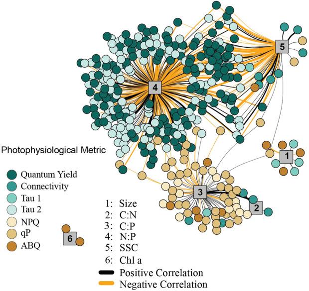 https://cdn.ncbi.nlm.nih.gov/pmc/blobs/be2b/10598705/f694350ea14e/fphys-14-1244060-g005.jpg