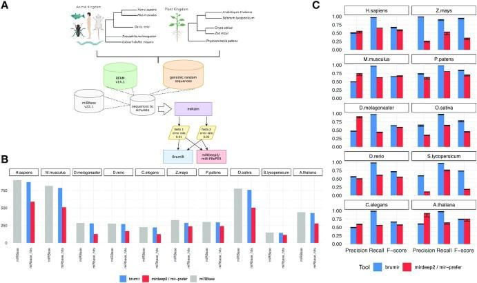 https://cdn.ncbi.nlm.nih.gov/pmc/blobs/be2b/9596168/d8db828870f6/giac093fig2.jpg