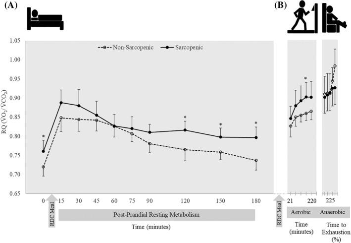 https://cdn.ncbi.nlm.nih.gov/pmc/blobs/be2c/8978004/305ea2939151/JCSM-13-1224-g001.jpg