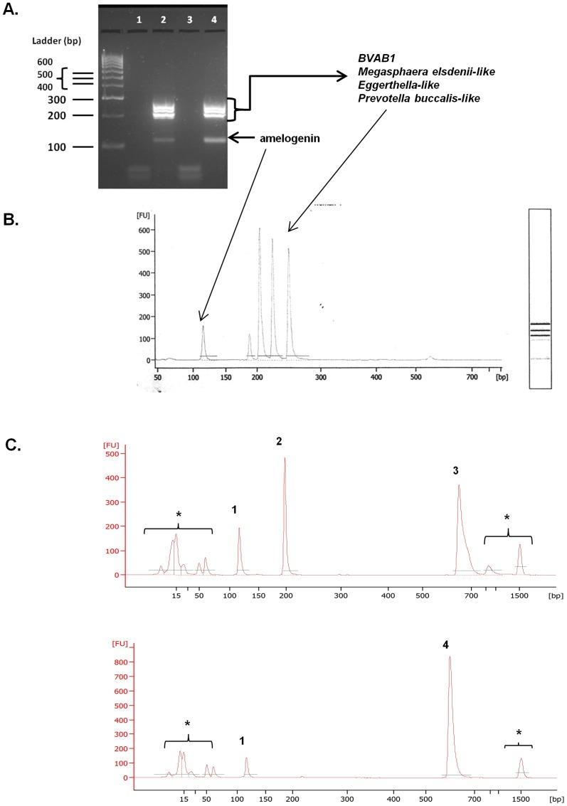 https://cdn.ncbi.nlm.nih.gov/pmc/blobs/be30/4260853/6cee501ed3d7/pone.0114368.g004.jpg