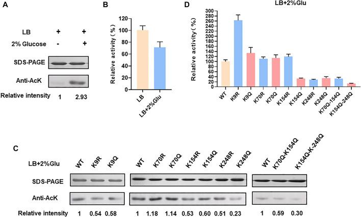 https://cdn.ncbi.nlm.nih.gov/pmc/blobs/be31/9424733/11950ec512b8/fbioe-10-966062-g001.jpg