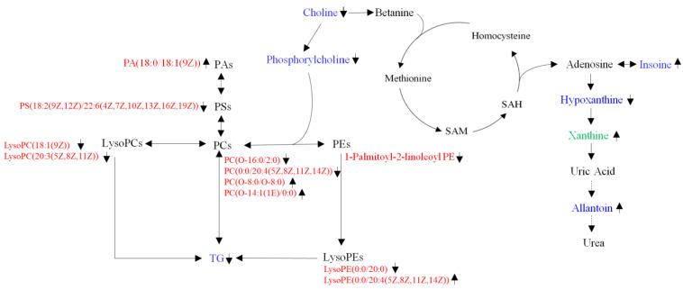 https://cdn.ncbi.nlm.nih.gov/pmc/blobs/be32/9407591/093ab56aeb6e/foods-11-02491-g003.jpg