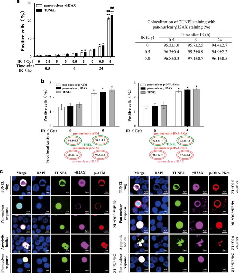 https://cdn.ncbi.nlm.nih.gov/pmc/blobs/be34/4979483/af21ba4bd459/cddiscovery201611-f2.jpg