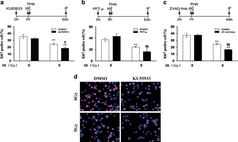 https://cdn.ncbi.nlm.nih.gov/pmc/blobs/be34/4979483/c793684498d4/cddiscovery201611-f5.jpg