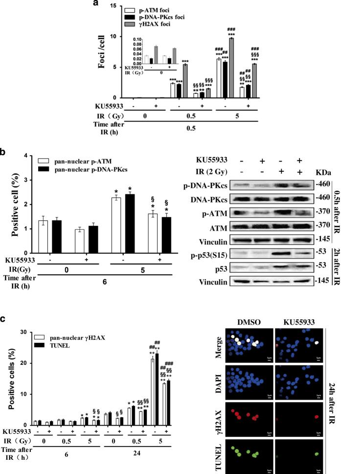 https://cdn.ncbi.nlm.nih.gov/pmc/blobs/be34/4979483/d001d6b50539/cddiscovery201611-f3.jpg