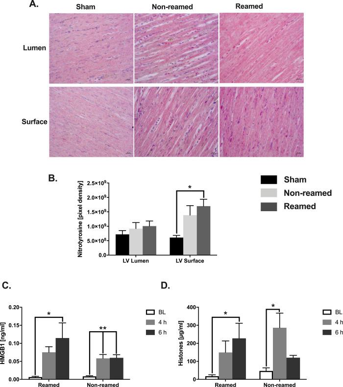 https://cdn.ncbi.nlm.nih.gov/pmc/blobs/be35/7316303/98c9937997de/pone.0235220.g004.jpg