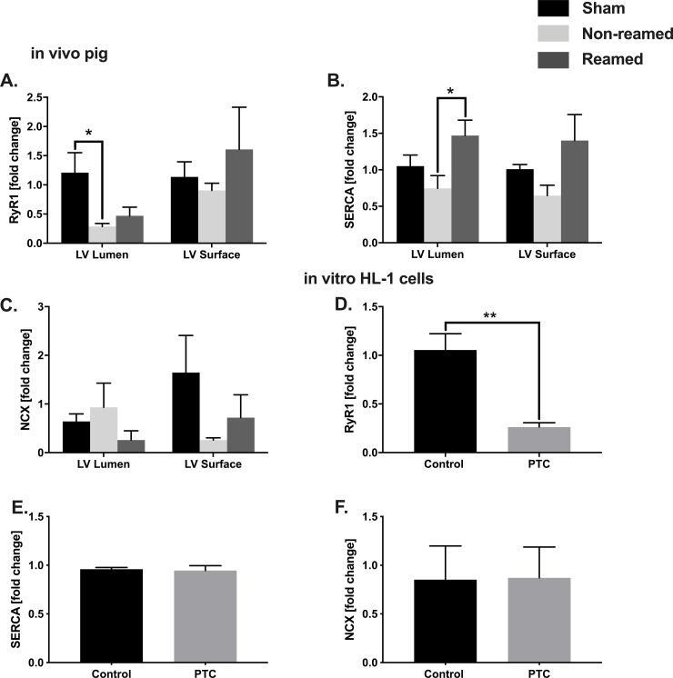 https://cdn.ncbi.nlm.nih.gov/pmc/blobs/be35/7316303/c8ebfcd077b6/pone.0235220.g005.jpg