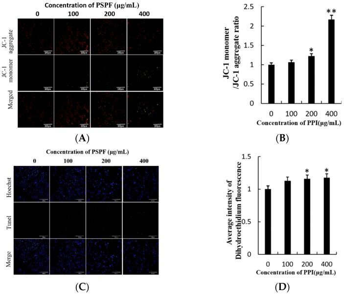 https://cdn.ncbi.nlm.nih.gov/pmc/blobs/be35/8036721/bad97f44f8c5/molecules-26-01949-g005.jpg
