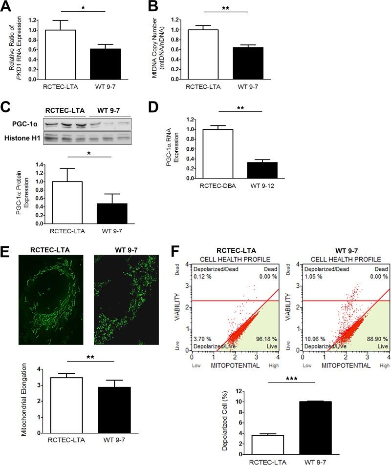 https://cdn.ncbi.nlm.nih.gov/pmc/blobs/be36/5705822/0647927f16e2/zmb024171666006a.jpg