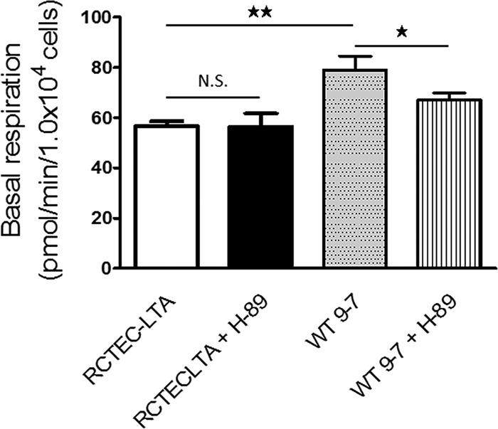 https://cdn.ncbi.nlm.nih.gov/pmc/blobs/be36/5705822/3df21e9b20c6/zmb0241716660009.jpg