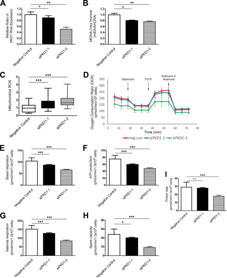 https://cdn.ncbi.nlm.nih.gov/pmc/blobs/be36/5705822/4784f908631a/zmb0241716660010.jpg