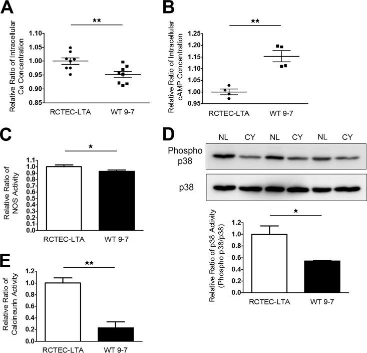 https://cdn.ncbi.nlm.nih.gov/pmc/blobs/be36/5705822/6a831bb5a673/zmb0241716660011.jpg