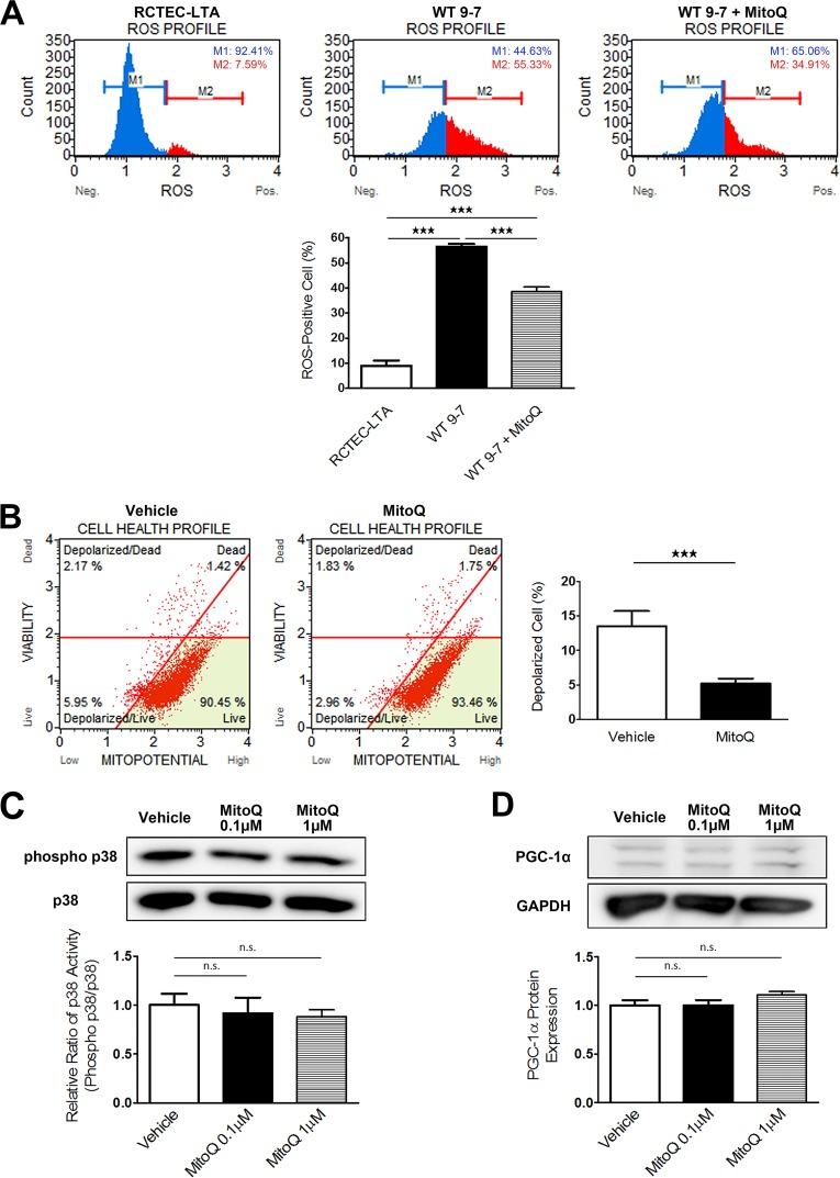https://cdn.ncbi.nlm.nih.gov/pmc/blobs/be36/5705822/7617f8027a0a/zmb024171666012a.jpg