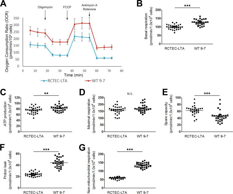 https://cdn.ncbi.nlm.nih.gov/pmc/blobs/be36/5705822/c7041433e059/zmb0241716660008.jpg