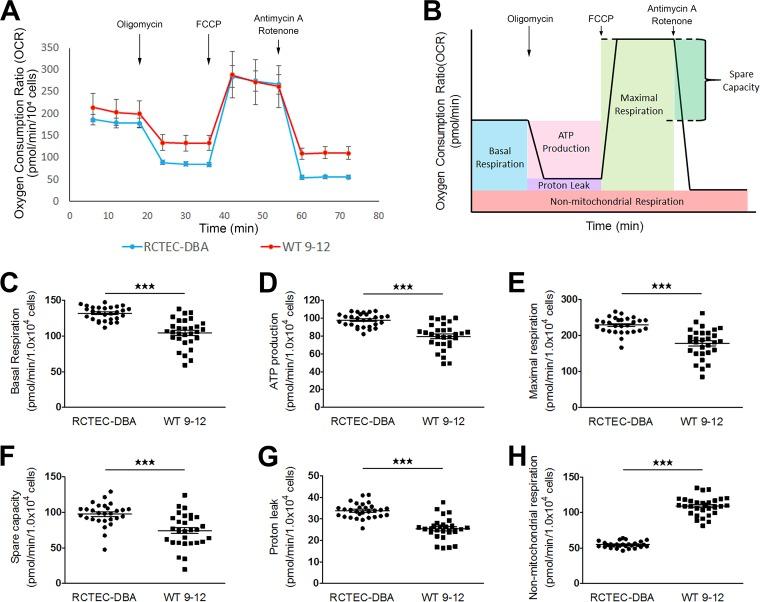 https://cdn.ncbi.nlm.nih.gov/pmc/blobs/be36/5705822/eea1d546c366/zmb0241716660005.jpg