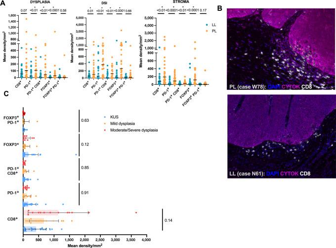 https://cdn.ncbi.nlm.nih.gov/pmc/blobs/be38/9973379/71f5e852703a/crc-21-0060_fig4.jpg