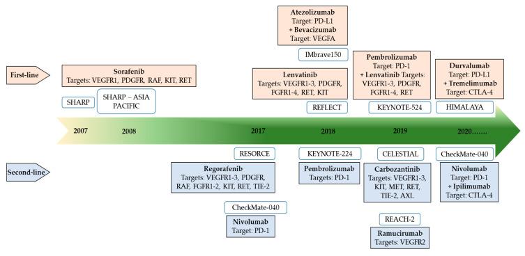 https://cdn.ncbi.nlm.nih.gov/pmc/blobs/be39/10093592/5e5eeb52d42b/cancers-15-02001-g005.jpg