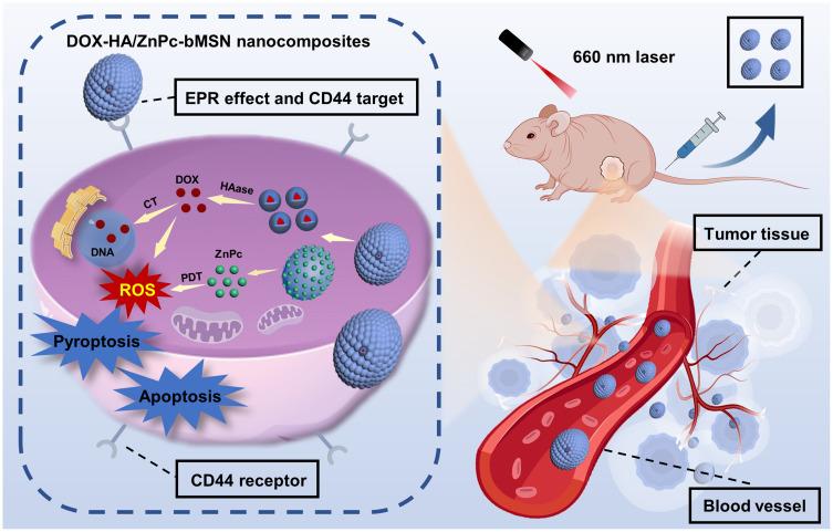 https://cdn.ncbi.nlm.nih.gov/pmc/blobs/be3b/12278960/2d11cf3ec7aa/IJN-20-9111-g0001.jpg