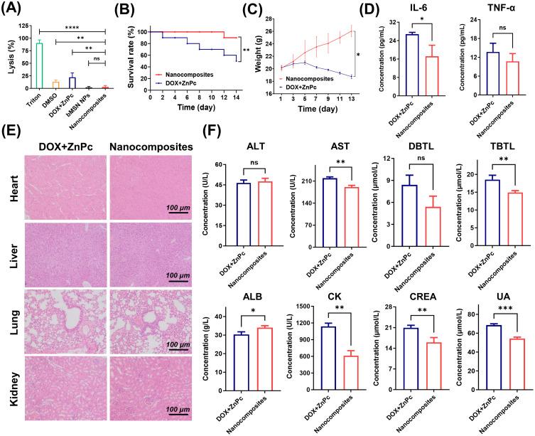 https://cdn.ncbi.nlm.nih.gov/pmc/blobs/be3b/12278960/444e6404bbbf/IJN-20-9111-g0007.jpg