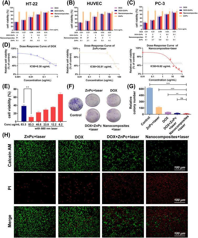 https://cdn.ncbi.nlm.nih.gov/pmc/blobs/be3b/12278960/733ac679445b/IJN-20-9111-g0005.jpg