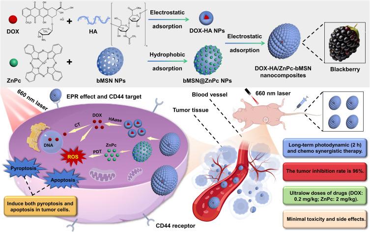 https://cdn.ncbi.nlm.nih.gov/pmc/blobs/be3b/12278960/a9b3ad61d0e5/IJN-20-9111-g0002.jpg