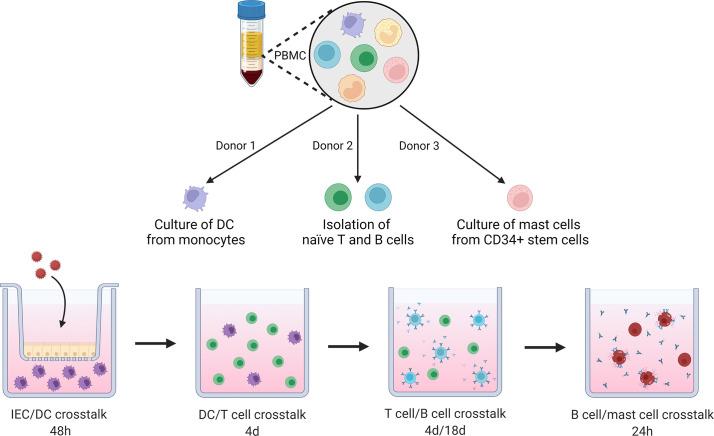 https://cdn.ncbi.nlm.nih.gov/pmc/blobs/be3b/9869142/cf0f0fd1da3d/fimmu-13-1073034-g001.jpg