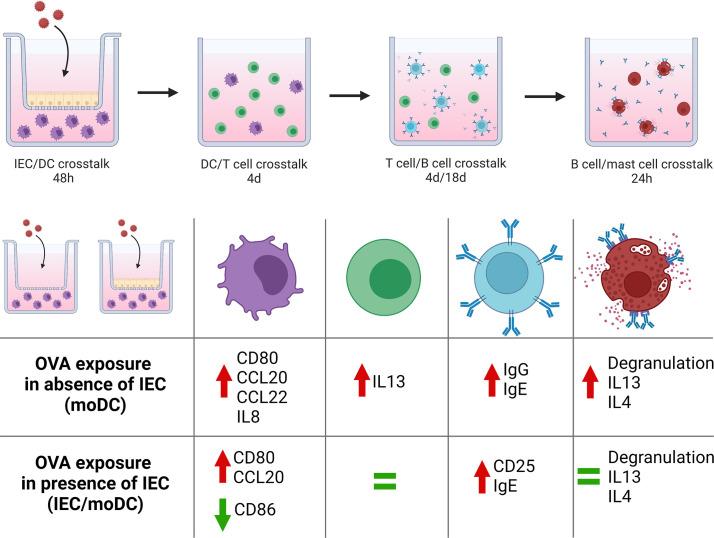 https://cdn.ncbi.nlm.nih.gov/pmc/blobs/be3b/9869142/fdc7f2358a1b/fimmu-13-1073034-g006.jpg