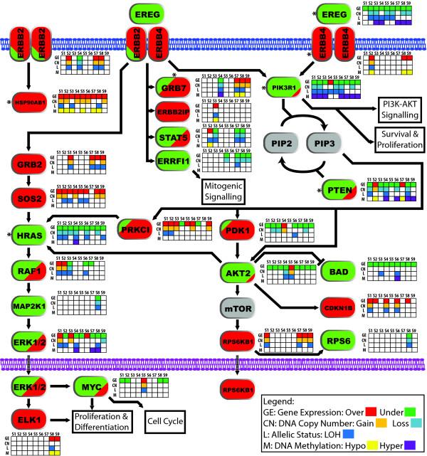 https://cdn.ncbi.nlm.nih.gov/pmc/blobs/be3c/2880289/2953058e3484/1752-0509-4-67-6.jpg