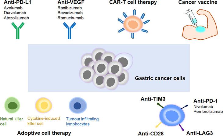 https://cdn.ncbi.nlm.nih.gov/pmc/blobs/be3c/9284215/d59da089872a/fimmu-13-948647-g001.jpg
